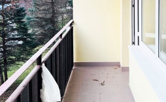 Loggia: Zadaszona loggia z ekspozycją na południow