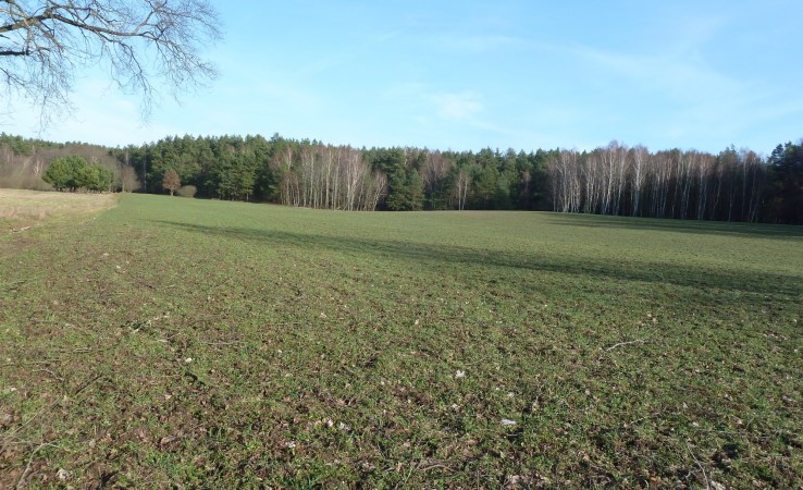 działka na sprzedaż - Kobylnica, Kruszyna